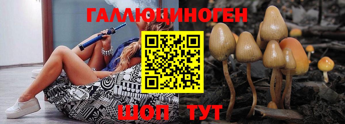 Псилоцибиновые грибы Magic Shrooms Вологда